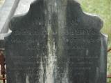 image of grave number 449132
